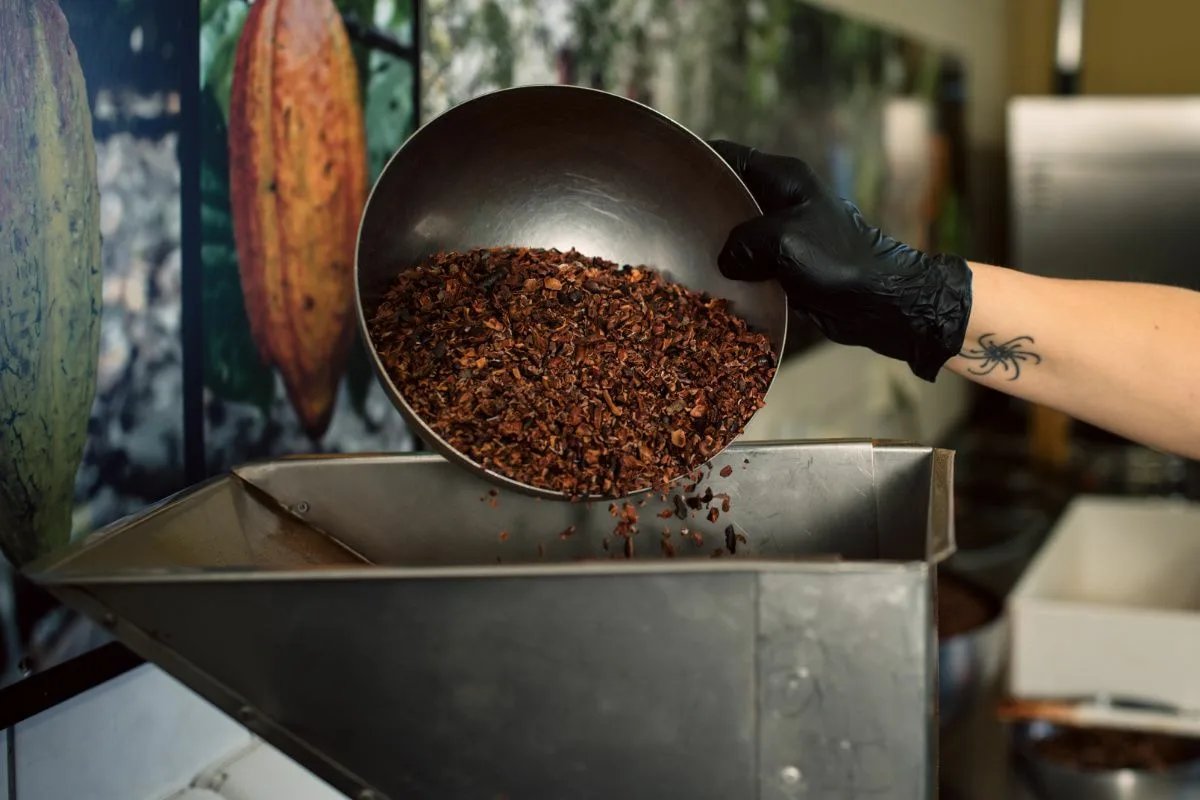 Der Kakao für Choco Del Sol wird geschält und gebrochen