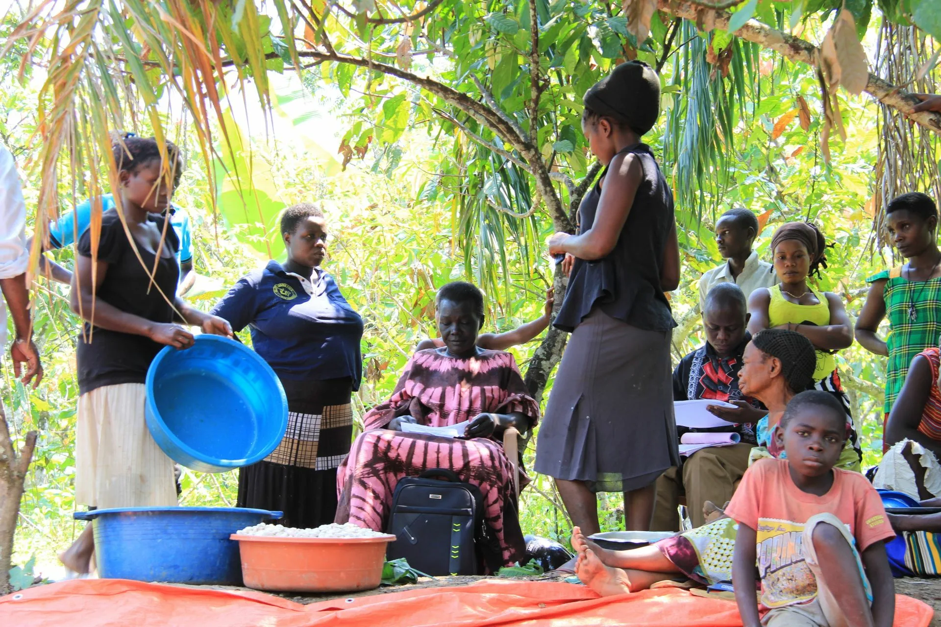 Ankauf von Kakao für Choco Del Sol in Uganda